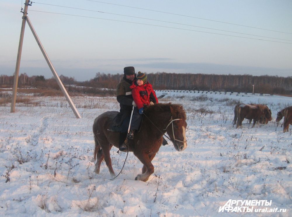 Лошади очень дружелюбны к детям и, везя ребёнка, никогда не позволят себе вольности, которыми испытывают взрослых