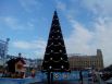 В Волгограде ёлка была установлена на площади Павших борцов, где также разместились избушка бабы Яги и домовёнка Кузи. Позади ели была огорожена территория, где вскоре будет залит каток.