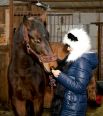 Можно кормить лошадь из руки и чувствовать тепло её губ