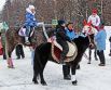 Рождественская кавалерия.