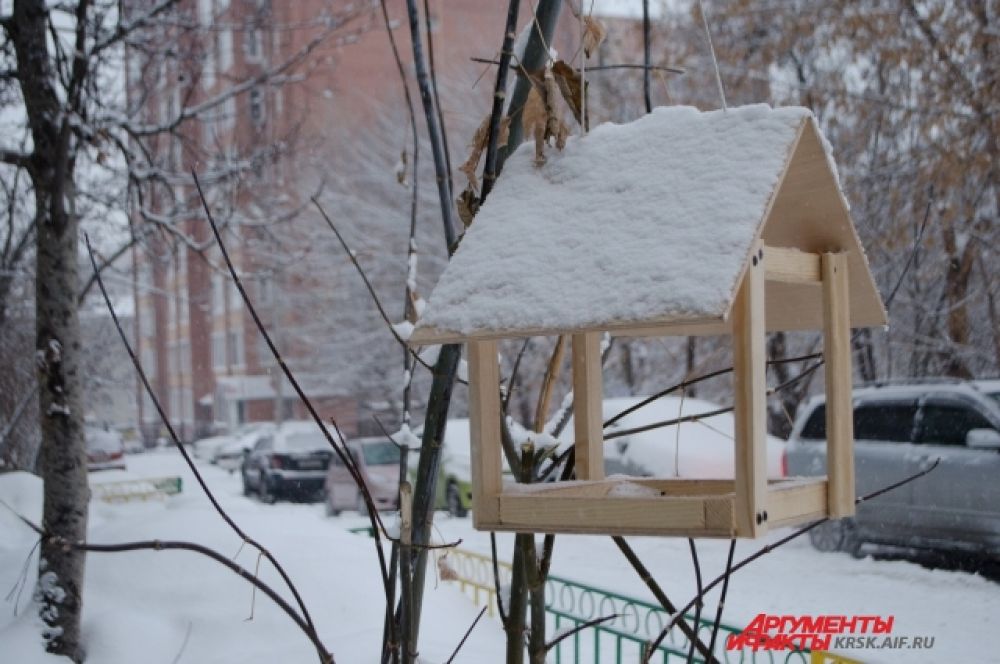 Птицы покинули кормушки.