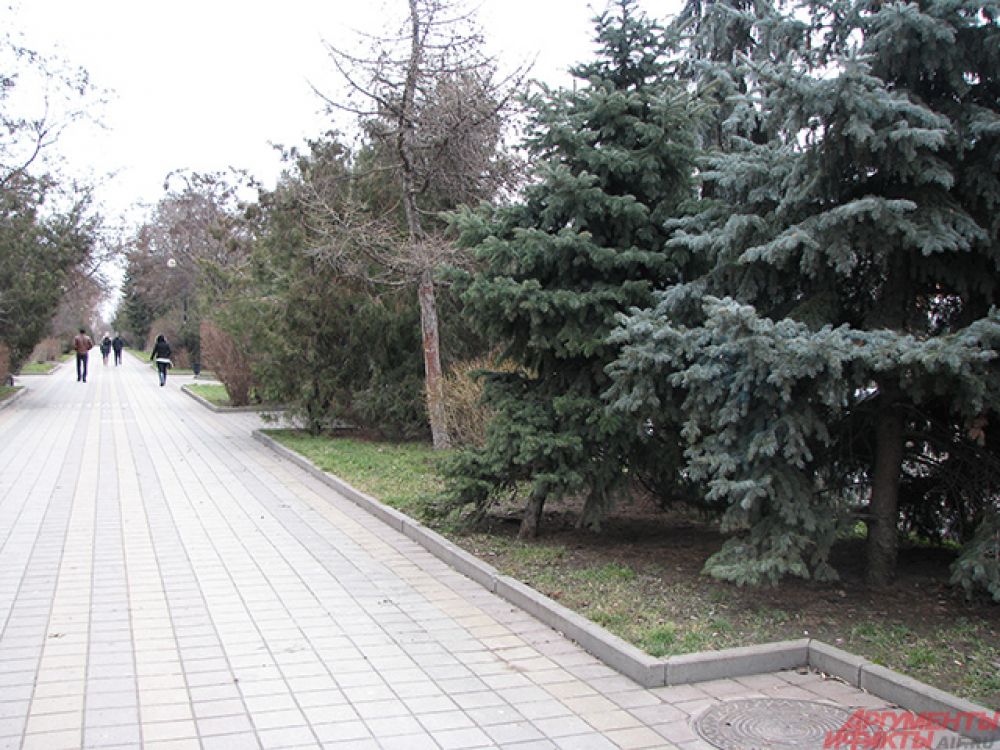 Тем временем, в Ростове снега нет вообще.
