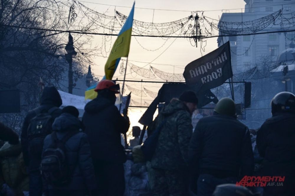 Некоторые из активистов Евромайдана – представители общественных организаций и объединений
