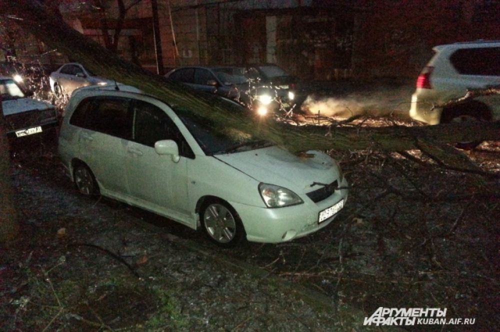 Такой же дождь шел в Краснодаре с вечера 20 января, утром 21 января он парализовал движение городского транспорта и стал причиной множества энергоаварий. Дороги и тротуары покрылись толстой ледяной коркой, и это притом что температура воздуха по-прежнему плюсовая. В городе обрушились более 100 деревьев, не выдержавших веса льда.