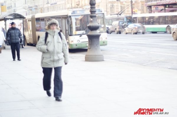 В Петербурге до конца рабочей недели продержится морозная и солнечная погода. Уже в субботу и воскресенье синоптики прогнозируют, что температура воздуха поднимется до -6 градусов. 