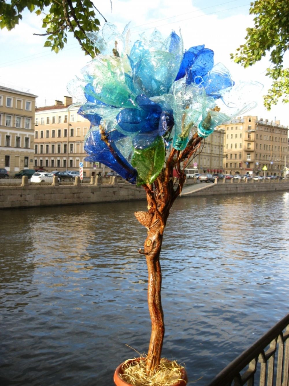 Бутылочное дерево гармонично вписалось в петербургский пейзаж.