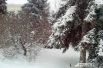 Снежная сказка в центре Волгограда