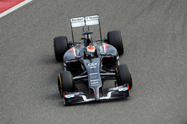 В Sauber в 2014 году мог выступить Сергей Сироткин, однако в последний момент выяснилось, что россиянин останется на должности тест-пилота.