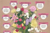 Какие цветы приносят на похороны