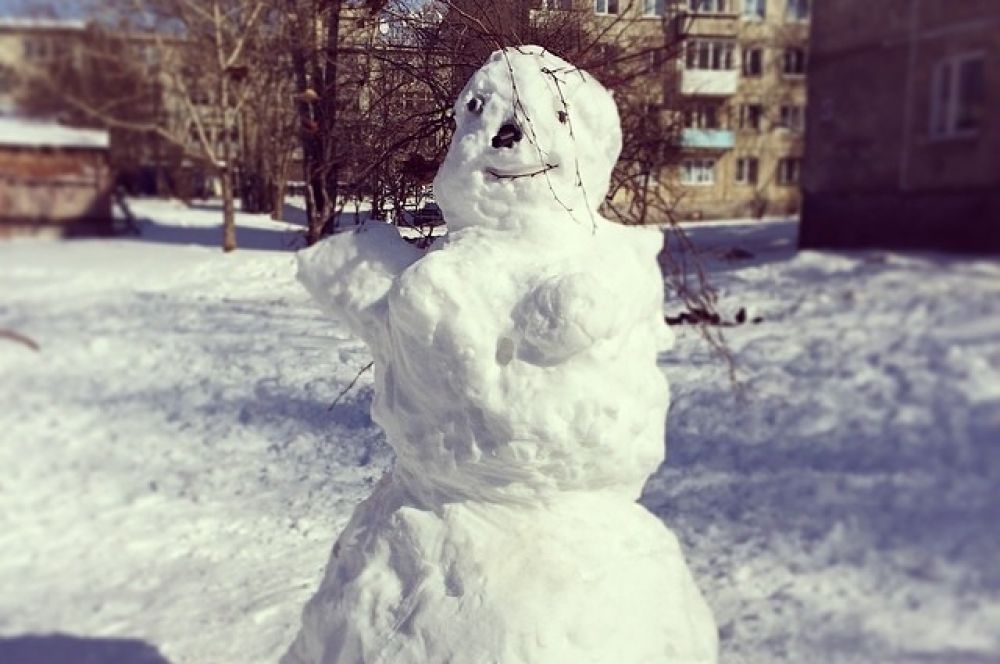Снежная красавица.