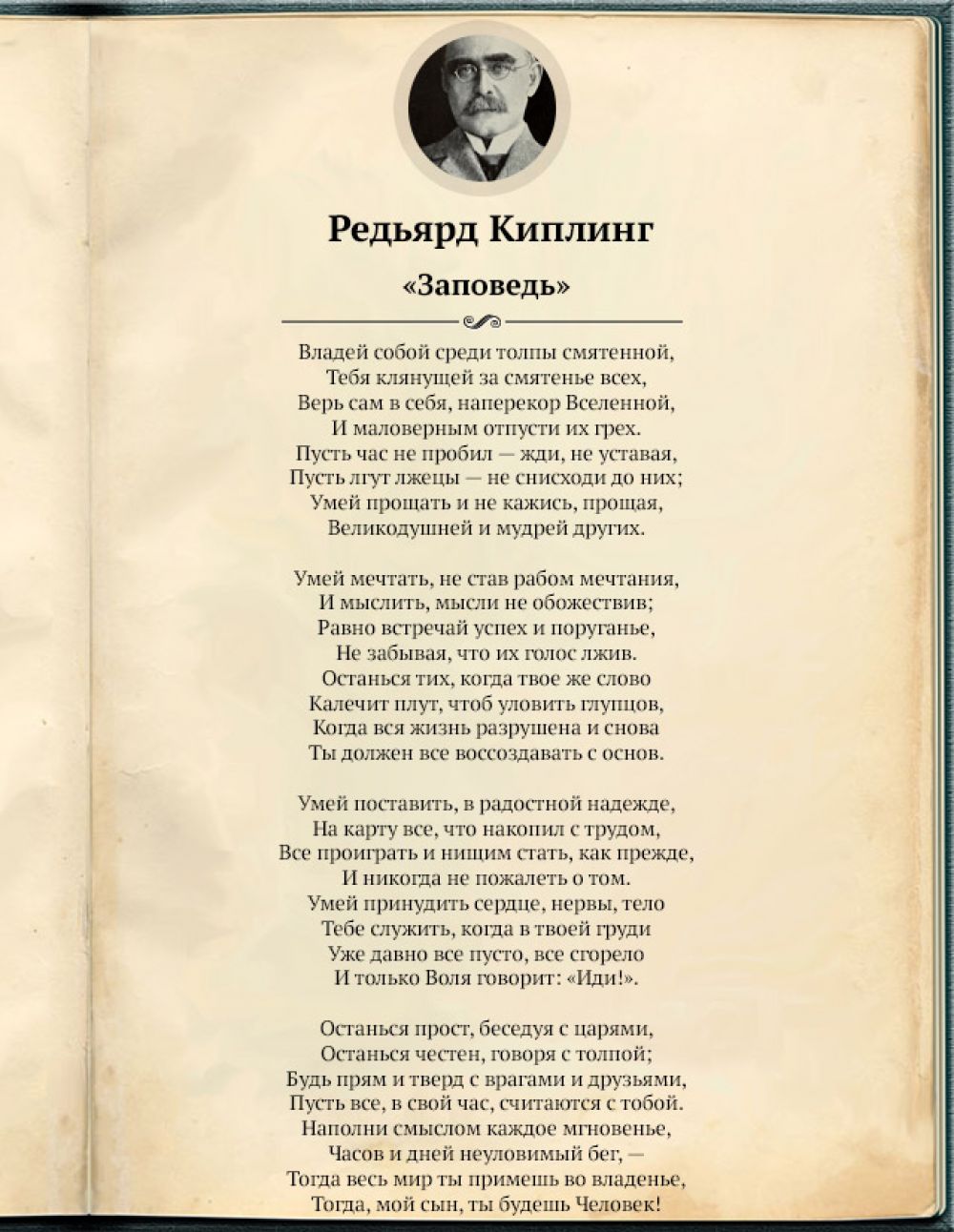 Поэзия всех времён. 10 любимых стихотворений редакции AиФ.ru | Аргументы и  Факты