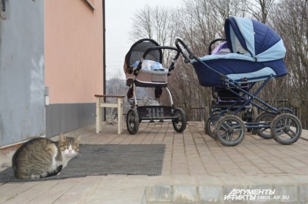 Кошка и детские коляски - будто крылечко обычного дома. 