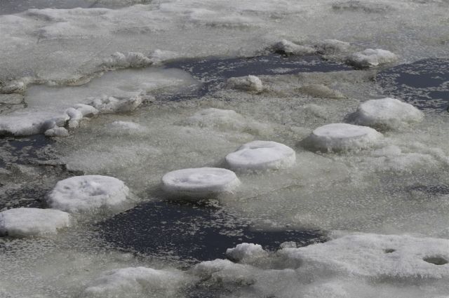 В Омске началось таяние льда на реках.