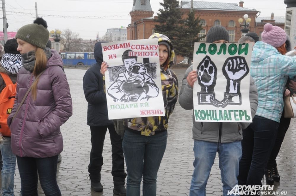 Омичи выступили в поддержку бездомных животных.