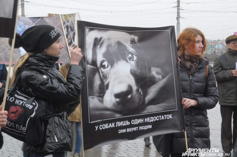 Омичи выступили в поддержку бездомных животных.