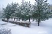 А вот Волгоград в последний уик-энд марта занесло снегом.
