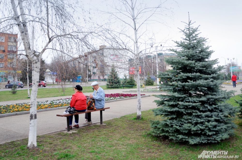 Потепление в Адыгее привело к тому, что город расцвёл, а на лавочках теперь можно отдохнуть с комфортном и вдохнуть свежий весенний воздух.