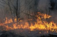 Сезон лесных пожаров в Иркутской области может начаться раньше.