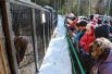 Детишки, которых на празднике было очень много, были в восторге от огромного медведя Степана и других питомцев «Шапшинского урочища». 