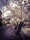 Весенние прогулки детей в тихом городке Такацуки.