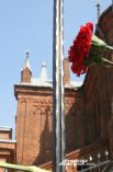 Цветы на ограждении католического костела в Смоленске.