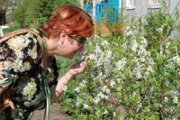 Будьте осторожны - пыльца растений может быть опасной!