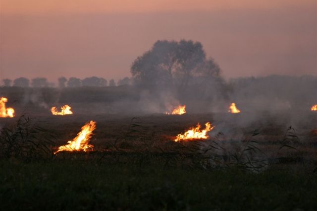 В Иркутской области сгорело более 950 га лесов.