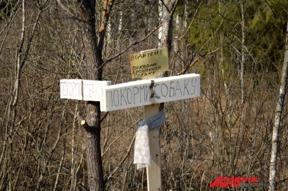 Самодельные таблички на дороге Ельня-Спас-Деменск.