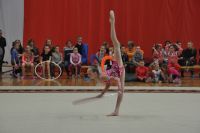 Омские спортсменки стали лучшими в художественной гимнастике.