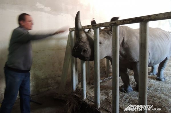 Омский цирк изнутри.