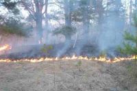 В настоящее время в Зиминском районе действуют два крупных лесных пожаров.