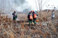 Большинство лесных пожаров в Приангарье происходит по вине местного населения.