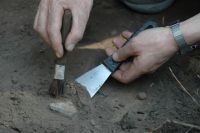 Останки древнего человека нашли в бассейне Иртыша.