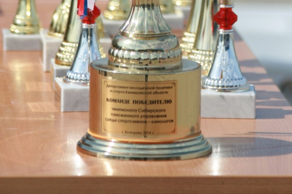 Чтобы получить кубок победителя, предстояло преодолеть 5 этапов соревнований.