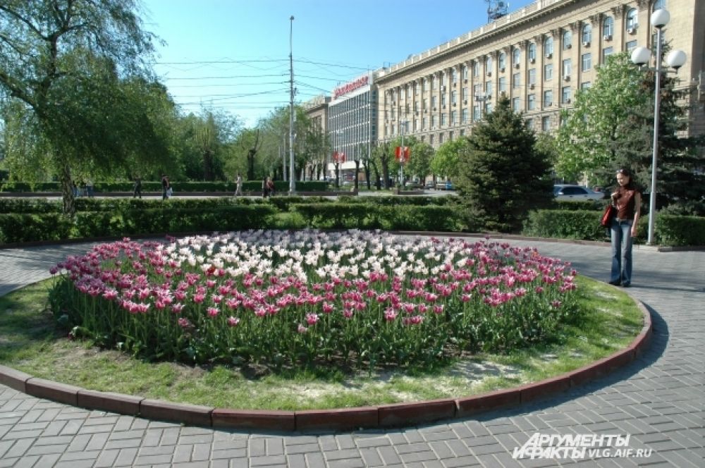 Ежегодно из бюджета выделяются деньги на обустройство клумб в Волгограде.