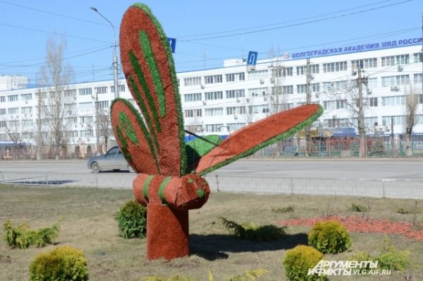 На Самарском разъезде областные власти установили топиарную фигуру бабочки. 
