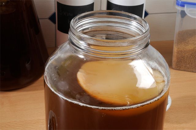 Чем полезен чайный гриб? | Вечные вопросы | Вопрос-Ответ | Аргументы и ...