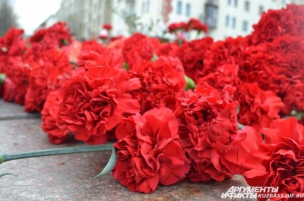 Красные гвоздики - символ благодарности и глубокого уважения к подвигу советских солдат.