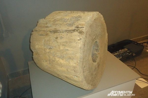Фрагмент деревянной водопроводной трубы, найденной у Седанкинского водохранилища.