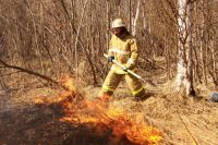 Причиной лесных возгораний чаще всего становятся сельхозпалы.