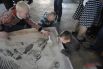 Палеонтологическая песочница – дети извлекают из земли скелет ихтиозавра.
