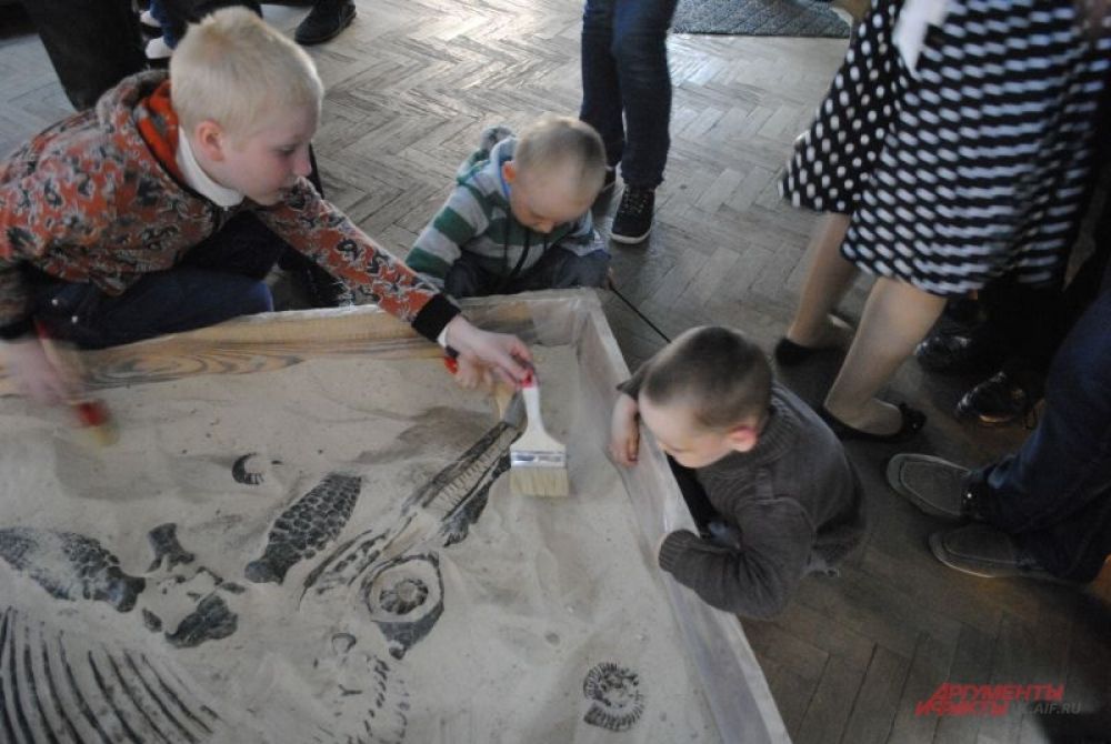 Палеонтологическая песочница – дети извлекают из земли скелет ихтиозавра.