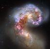 Галактика NGC 4038 в созвездии Ворон. Открыта Уильямом Гершелем в 1785 году.