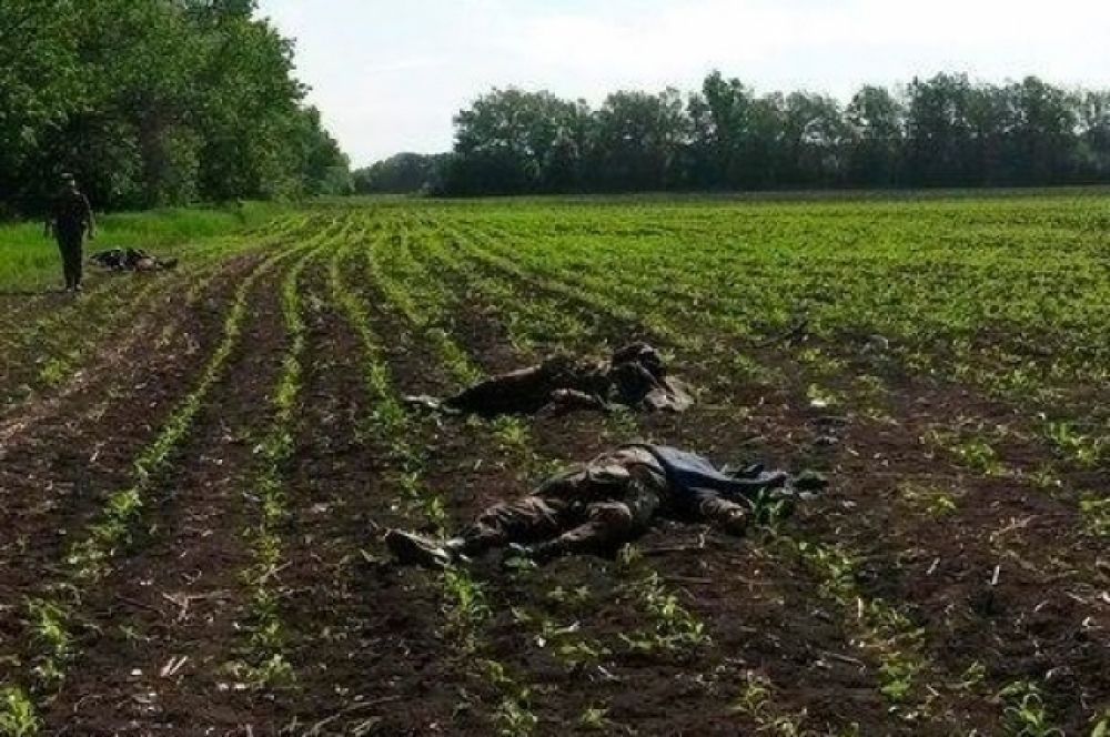 В ходе столкновения ранен 31 человек, есть погибшие