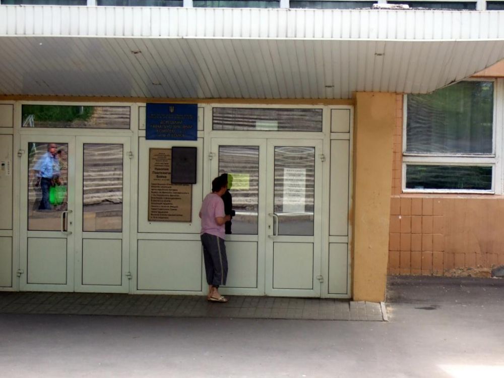 Выборы в Донецкой и Луганской областях