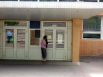 Выборы в Донецкой и Луганской областях