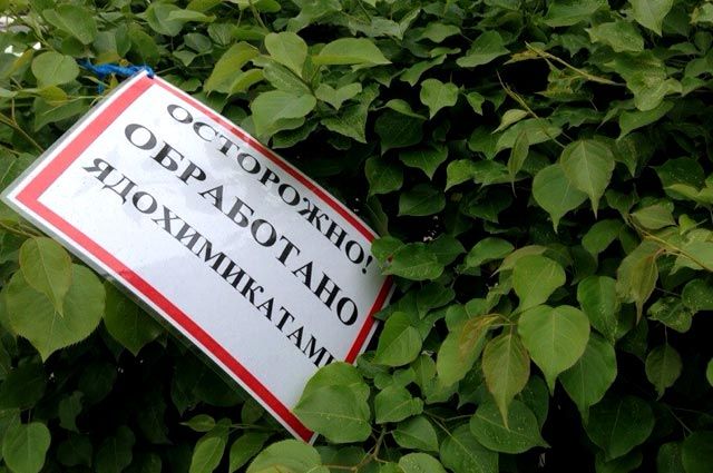 На обработанных деревьях висят таблички с предупреждением. 