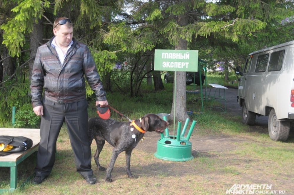 Выставка охотничьих собак.