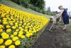 Кипит работа над созданием украинского стяга