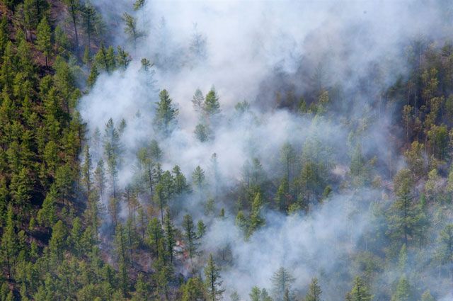 Леса в Приангарье продолжают гореть.